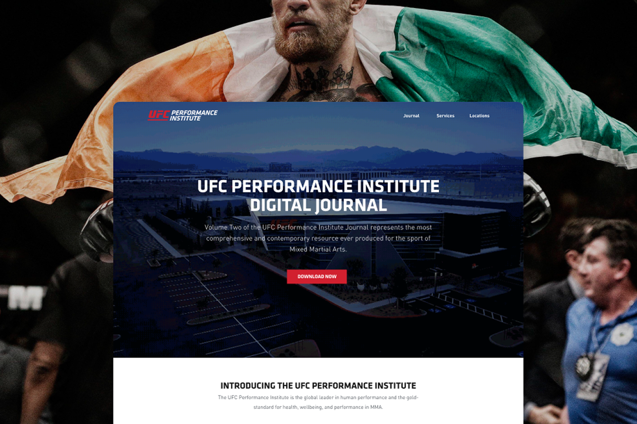 UFC PI project